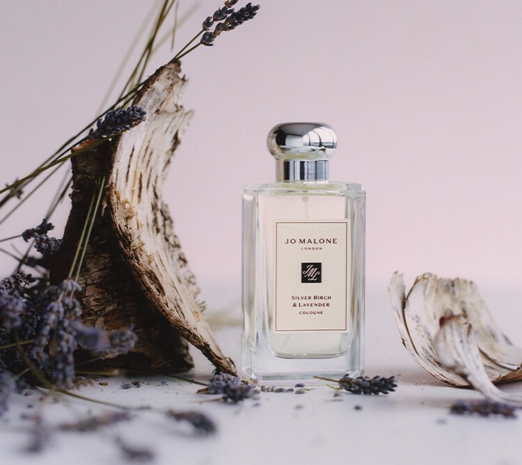  Silver Birch & Lavender