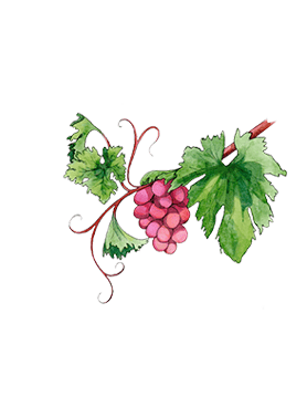 Виноградная лоза