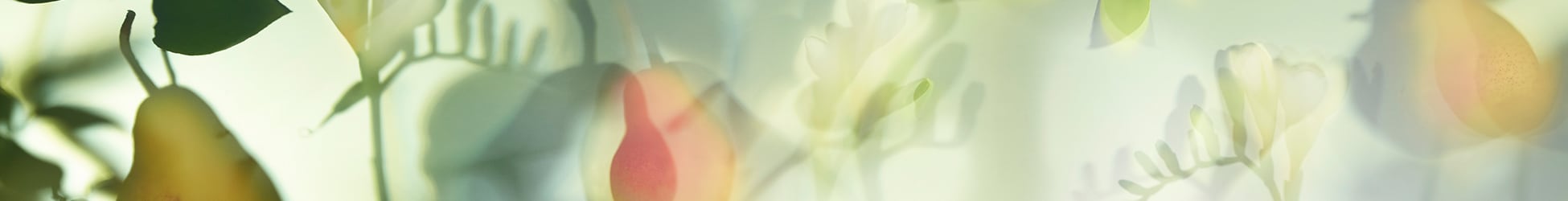 English Pear & Freesia