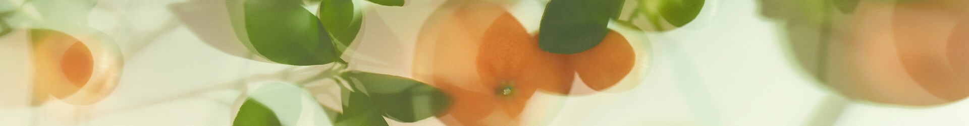 Lime Basil & Mandarin
