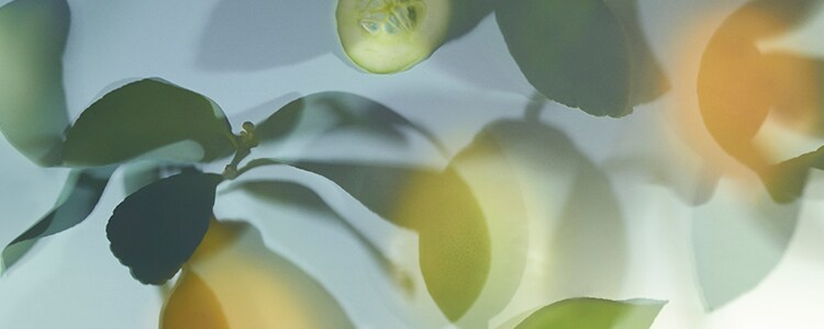 Earl Grey & Cucumber