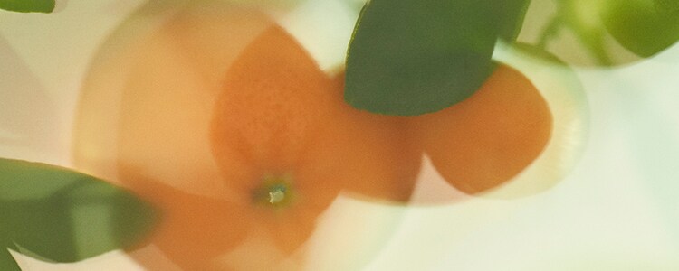 Lime Basil & Mandarin
